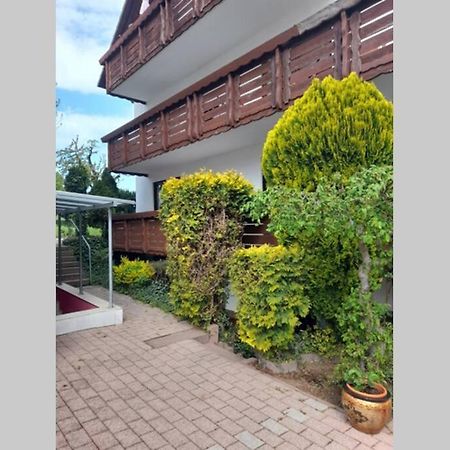 Souterrain Wohnung In Бенсхайм Екстериор снимка